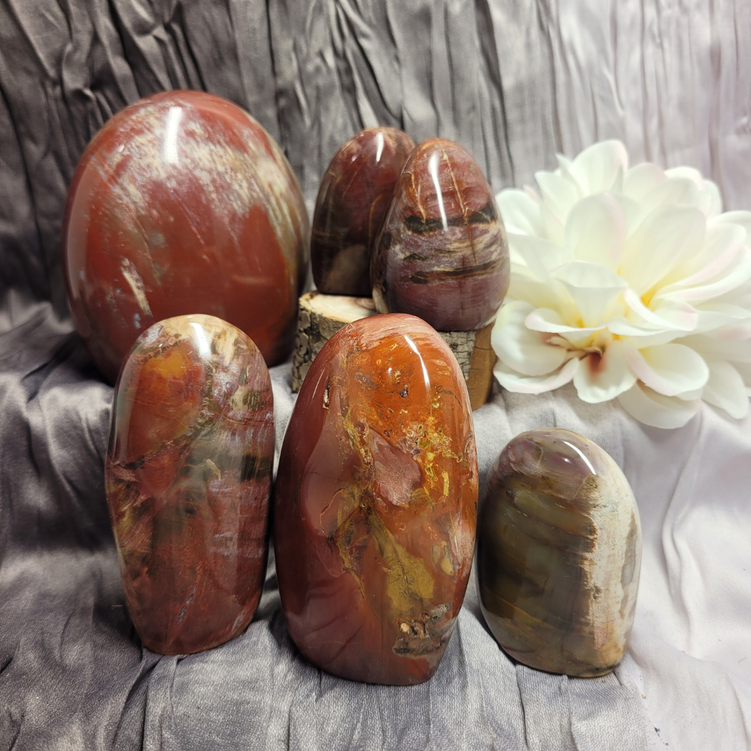 Petrified Wood Free Form - Divine Journey Boutique