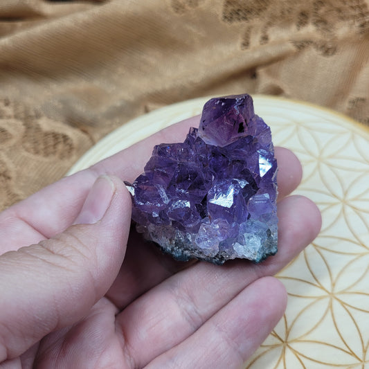 Small Amethyst Cluster