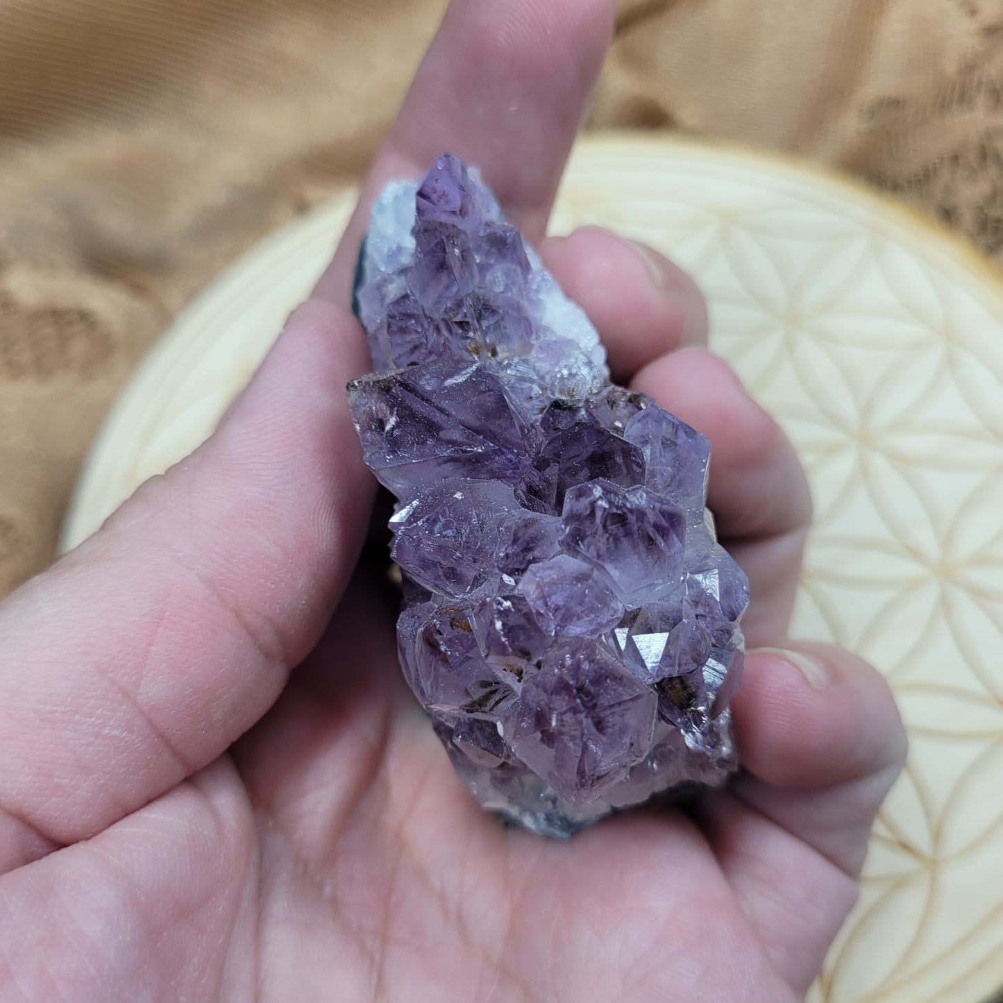 Small Amethyst Cluster