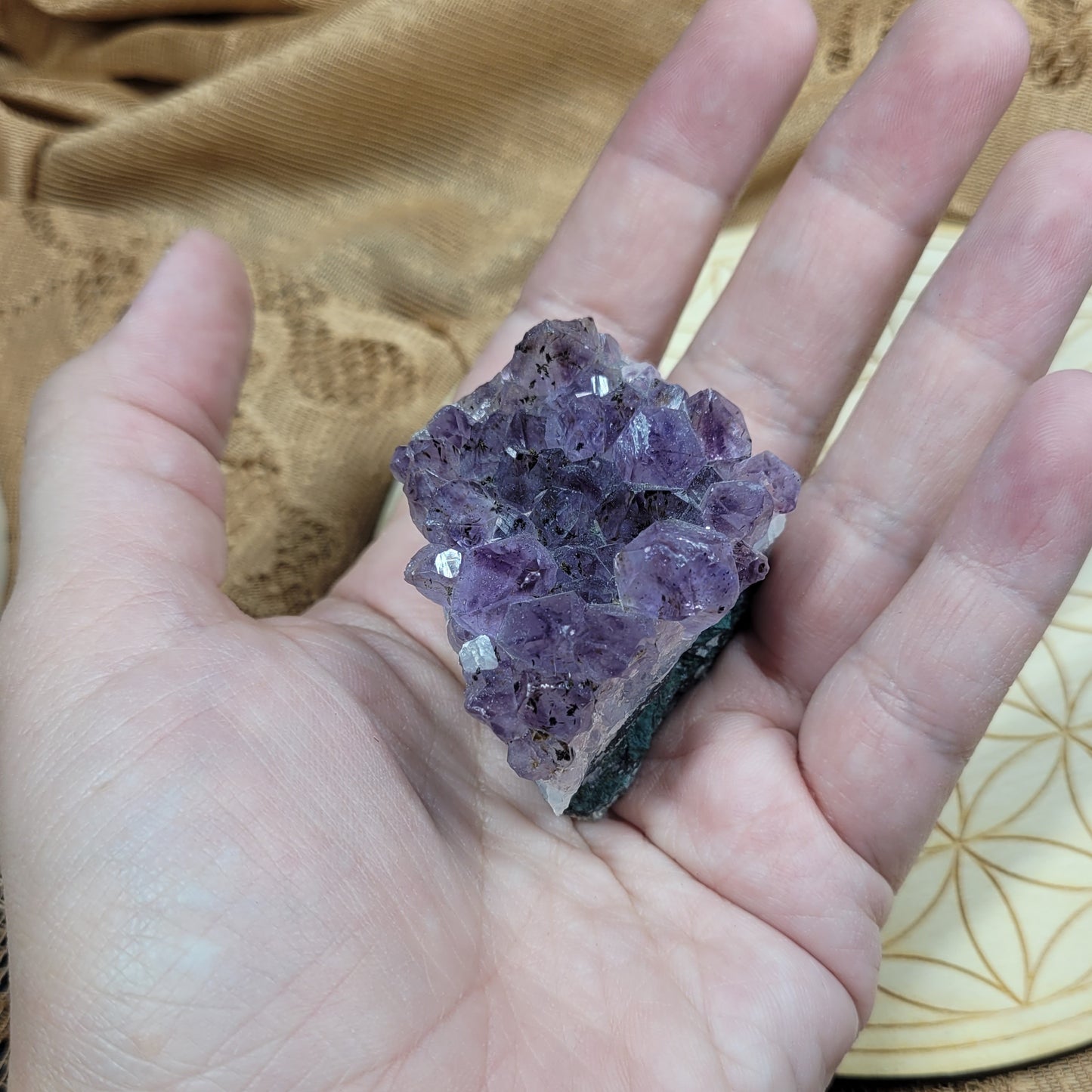 Small Amethyst Cluster