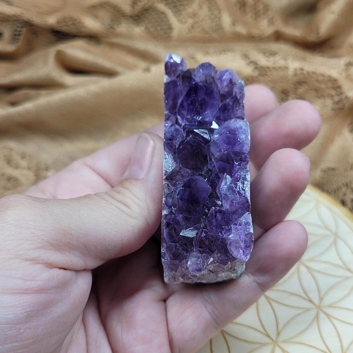 Small Amethyst Cluster