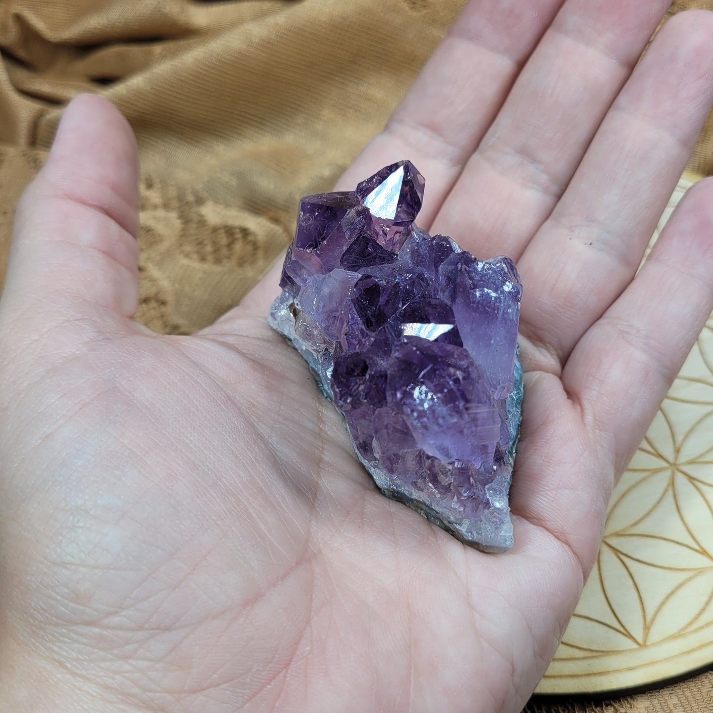 Small Amethyst Cluster