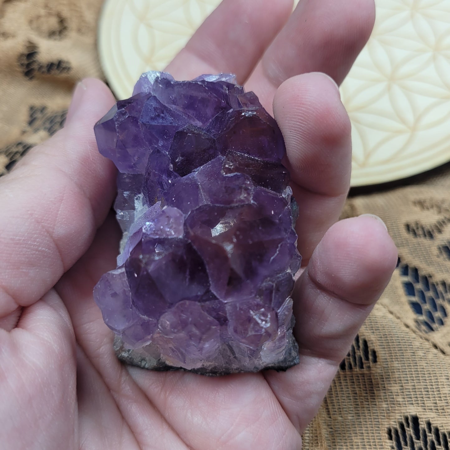 Small Amethyst Cluster